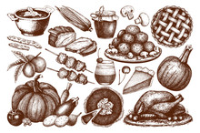Vector Collection Of Menu Elements For Thanksgiving Day Decoration. Vintage Set Of Hand Drawn Traditional Food Sketch For Autumn Holiday. Harvest Illustration Outlines.