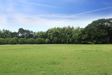 Landscape Of Grass Field And Green Environment Public Park Use As Natural Background,backdrop