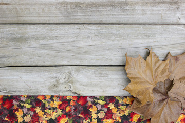 Blank wood sign with colorful leaves border