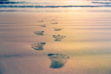 Footprints On Tropical Sand Beach At Sunset Time For Summer Or Holidays Background