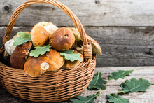 Fresh Mushrooms In Basket, Boletus From Forest On Rustic Table