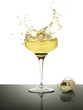 champagne splashing and cork on white background