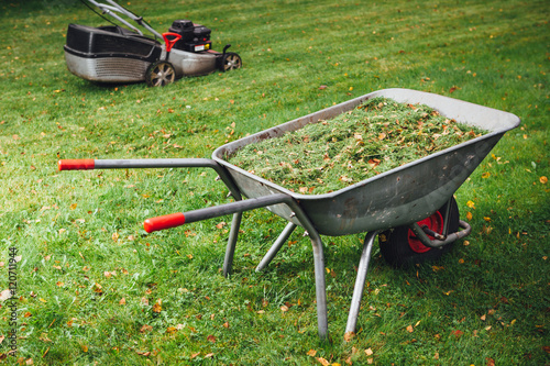 Fotografía wheelbarrow with grass and lawnmower on green lawn