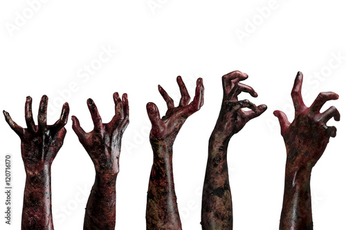 Fotomural Blood zombie hands, zombie theme, halloween theme