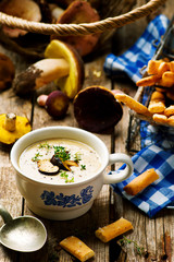 Wall Mural - forest mushrooms cream soup