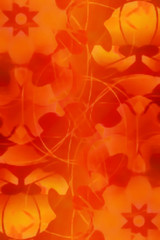 Fototapete - ornamental mandala and color abstract background. orange color.