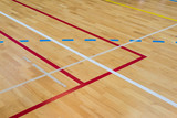 Parkiet Linie boiska siatkówka koszyków ręczna