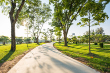 Landscape With Jogging Track At Green Park In Morning
