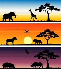 set of three animals banner