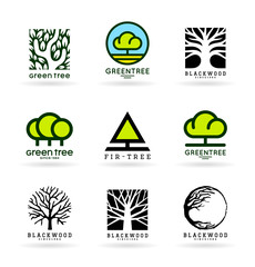 Sticker - Set of various tree symbols and logo design elements (9)