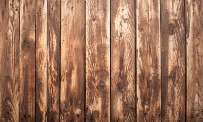 Wall Mural - Wood Texture Background