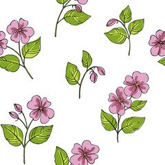 Wall Mural - vector pattern of decorative impatiens flower on white