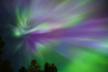 Wall Mural - Northern lights Crown (Aurora borealis) in the sky
