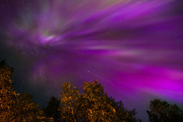 Wall Mural - Northern lights Crown (Aurora borealis) in the sky