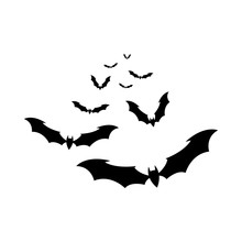 The Bats Vector