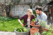© Connect Images - Couple in garden tending to plants