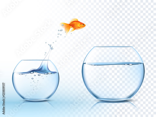 Fotografía Goldish Jumps Out Water Bowl PIcture