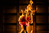 Fototapeta  - Burning flower on a dark crate background