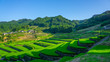 famous terraced rice-fields in Hasami, Nagasaki, Japan.