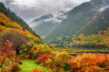 Sticker - Beautiful view of mountains in fog, colorful fall forest and lak