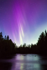 Wall Mural - Colorful northern lights (Aurora borealis) in the sky