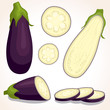 Eggplant set iolated on white background. Whole, sliced, half of fresh aubergine. Vector illustration.