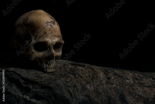 Invitation card for halloween with human skull