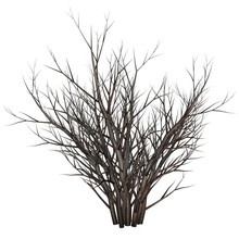 Dead Tree Bush By Night - 3D Render