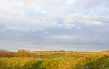 Wall Mural - Cloud sky at evening and summer field.