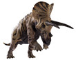 3D rendering of Triceratops charging, isolated on white background.