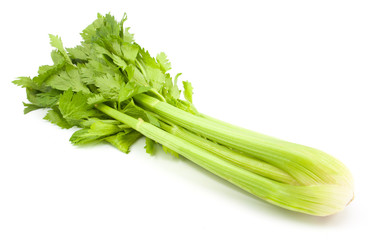 Wall Mural - celery isolated on white background