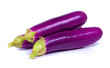 Long Purple Aubergine or Eggplant (Solanum melongena) isolated o