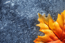 Autumn Leaf In Blue Frost Background
