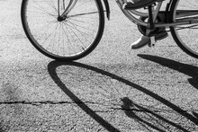 Black And White A Bicycle Against Shadow On The Street