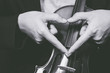 © princeoflove - music lover, hand sign on classical violin