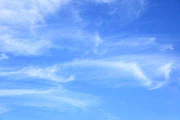 Wall Mural - light fleecy clouds
