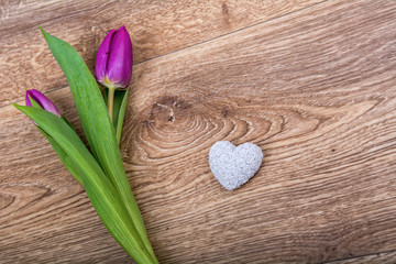 Violet tulip and heart on a wooden background