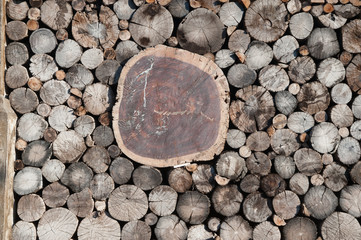 Wall Mural - Texture of wooden architecture: an old log wall.