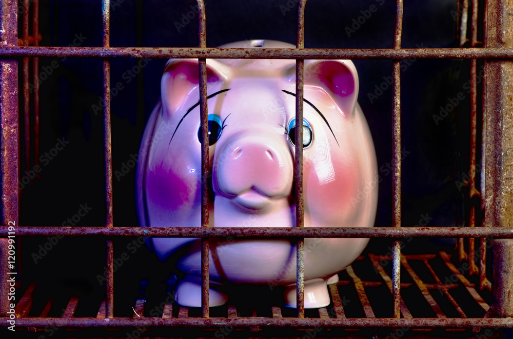 Pink Piggy Bank Punishment.
