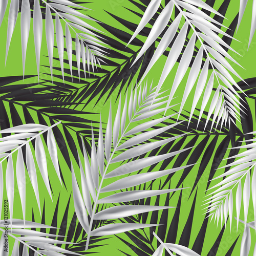 wektorowe-zielone-liscie-palmy