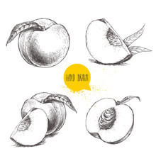 Hand Drawn Sketch Style Peach Fruit Set. Vintage Eco Food Vector Illustration. Ripe Peach, Peach Slices. White Background
