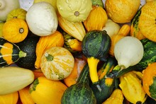 Colorful Decorative Pumpkins And Gourds In Autumn 