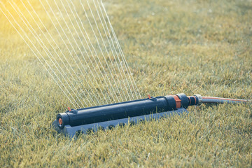 Lawn sprinkler in action, watering grass 2