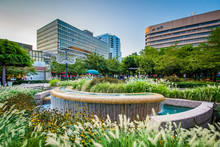 Fountains And Modern Buildings In Crystal City, Arlington, Virgi