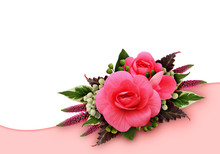 Pink Begonia Flowers Background