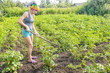 © Radnatt - young woman weeding hoe potatoes