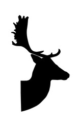 fallow deer silhouette on white background