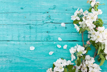 Spring Apple Tree Blossom On Turquoise Rustic Wooden Background