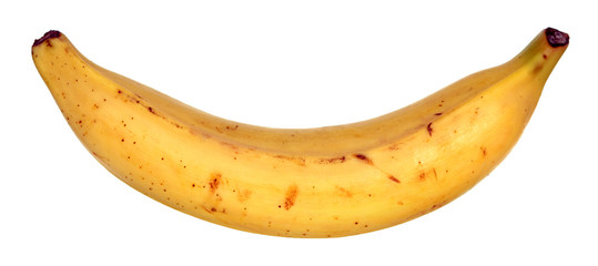 Canvas Print - a plantain banana