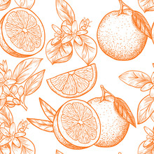 Oranges  And Flowers. Vector Seamless Pattern